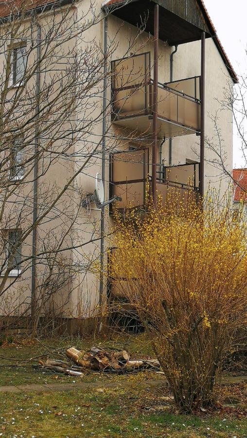 Apartment Am Suedpark Мерзебург Экстерьер фото